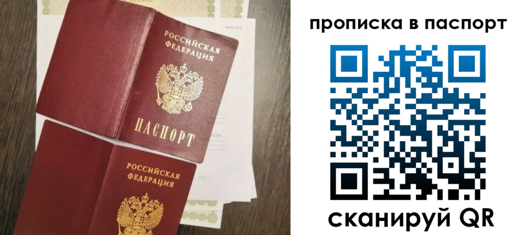 прописка гарантия в Щёлкино